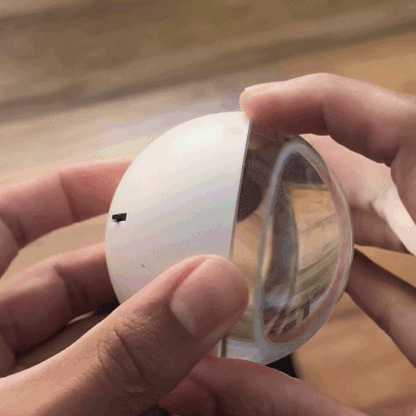 Boule de cristal enchantée